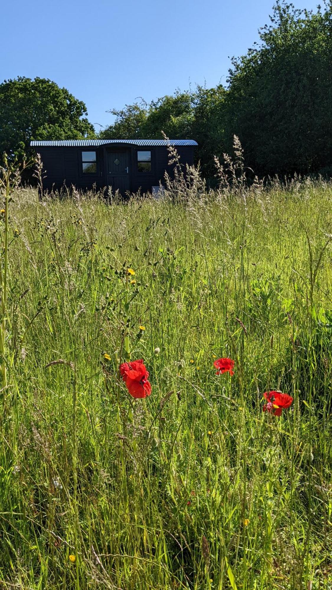Hotel Blue Sky Huts Chediston Exteriér fotografie